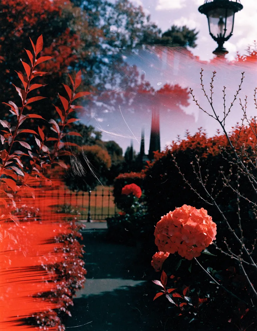 Redscale