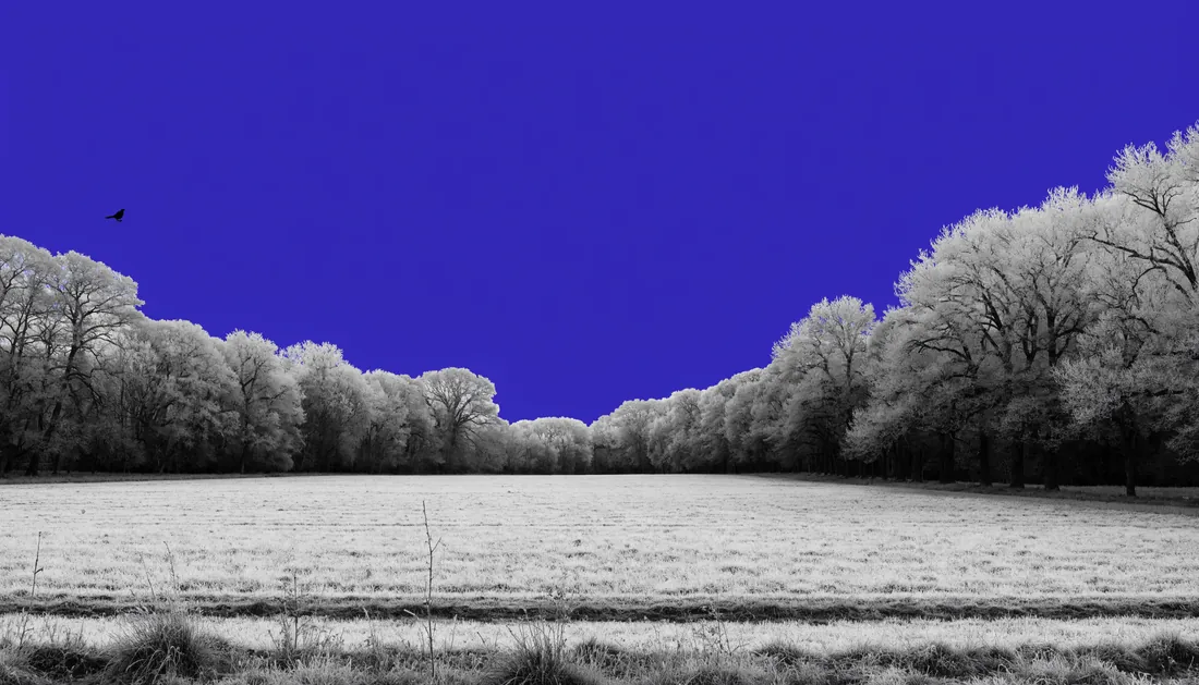 The flat violet sky