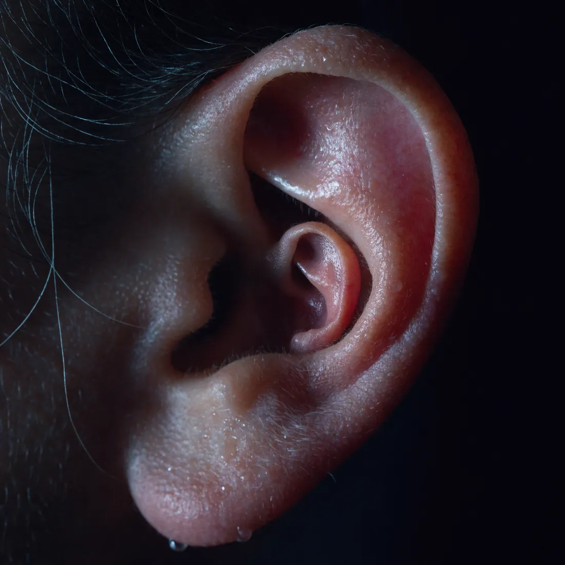 L'oreille