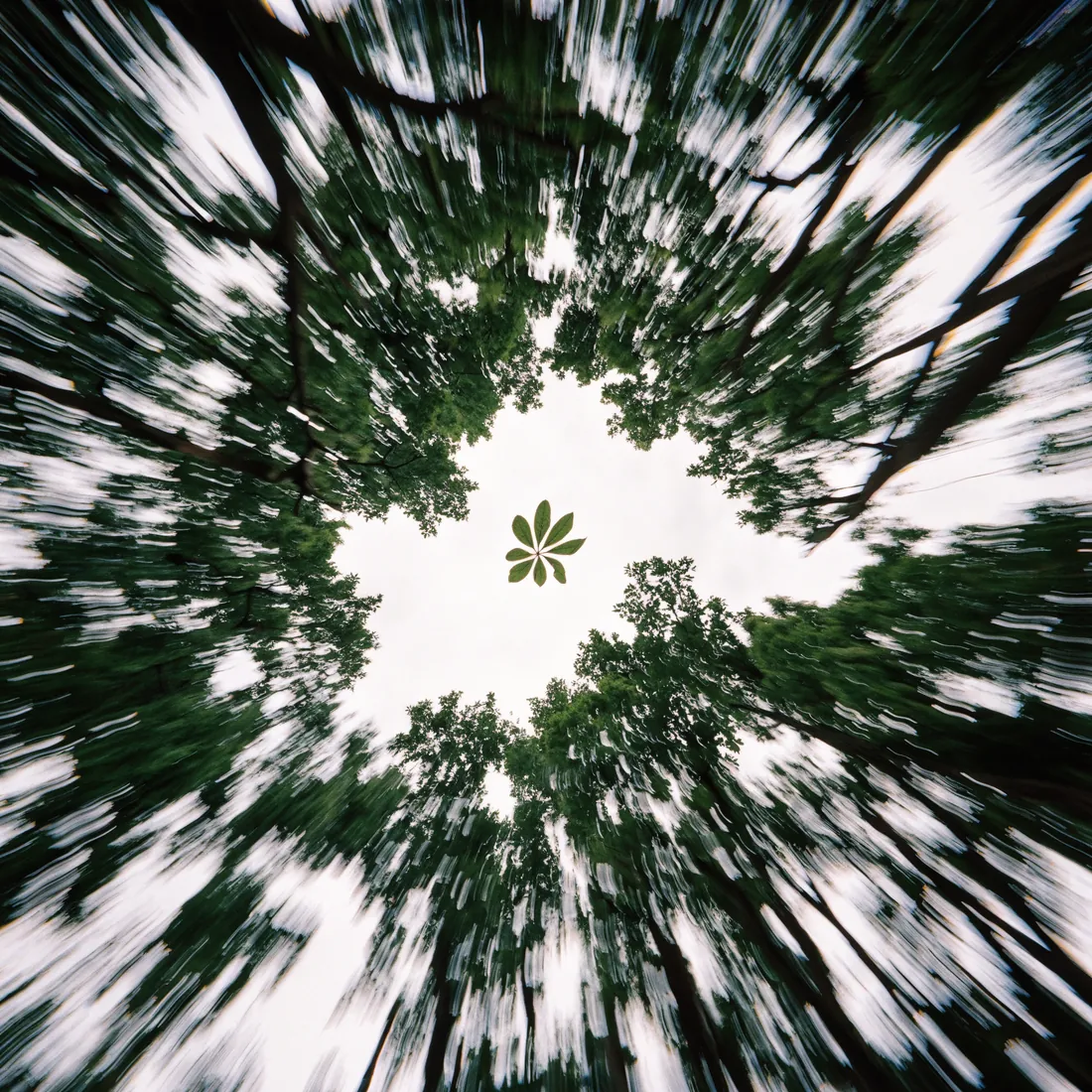 Le zoom filé