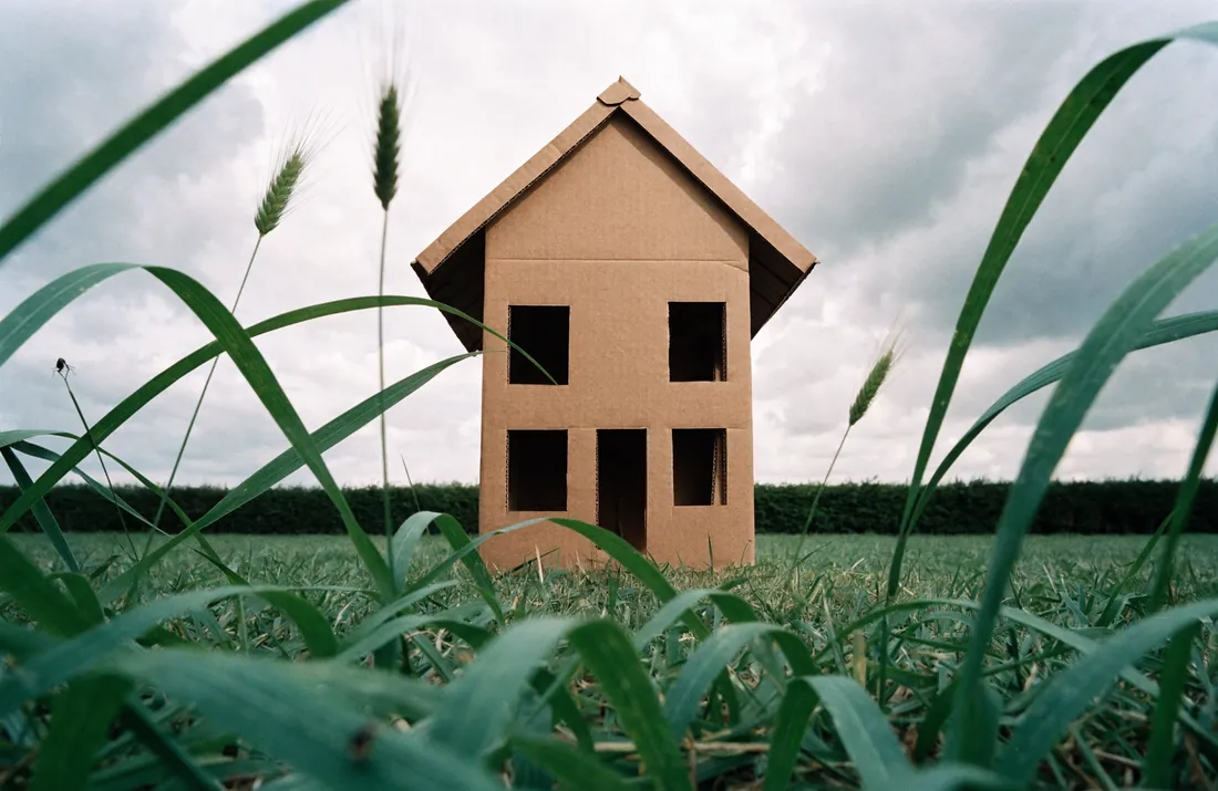 La maison a l'echelle